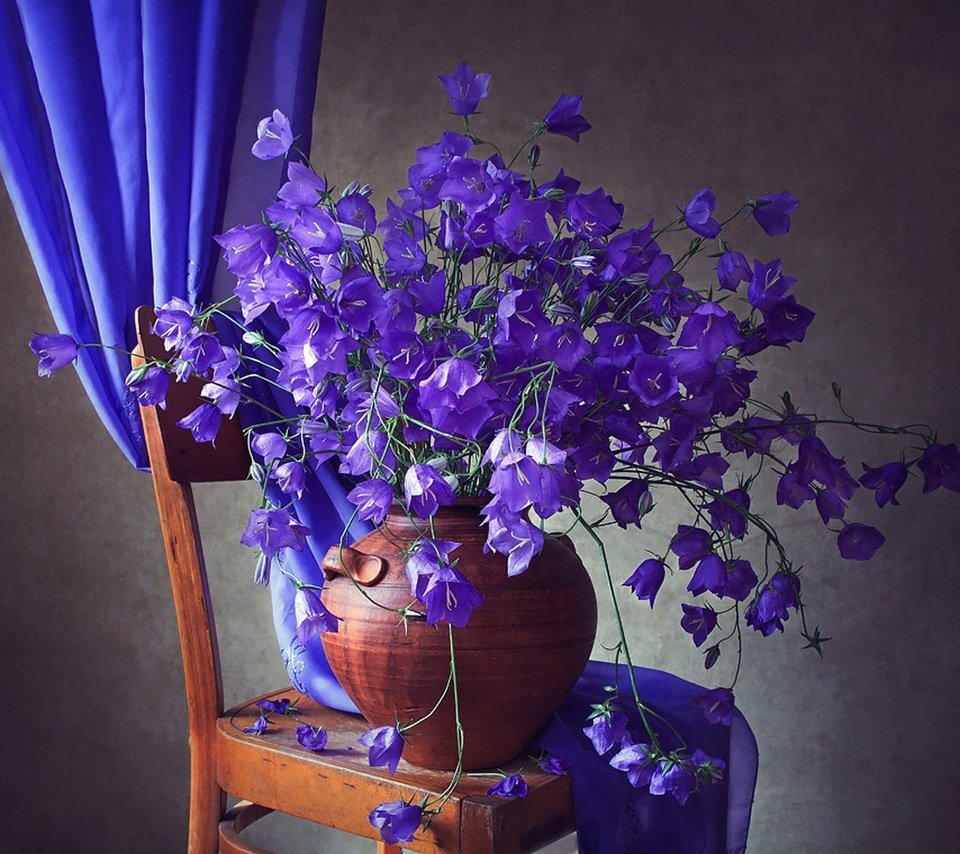 Обои цветы, стул, ткань, букет, ваза, синие, колокольчики, занавеска, flowers, chair, fabric, bouquet, vase, blue, bells, curtain разрешение 2024x1619 Загрузить