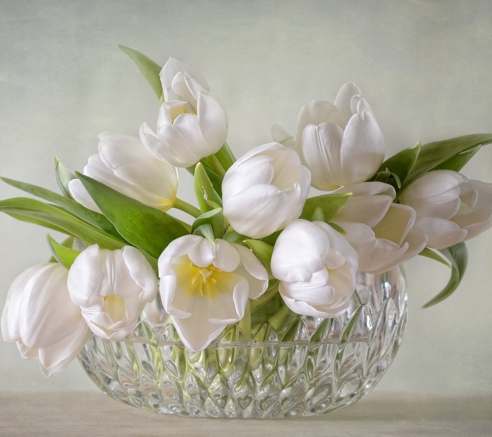 Обои цветы, букет, тюльпаны, белые, ваза, хрусталь, flowers, bouquet, tulips, white, vase, crystal разрешение 2048x1434 Загрузить