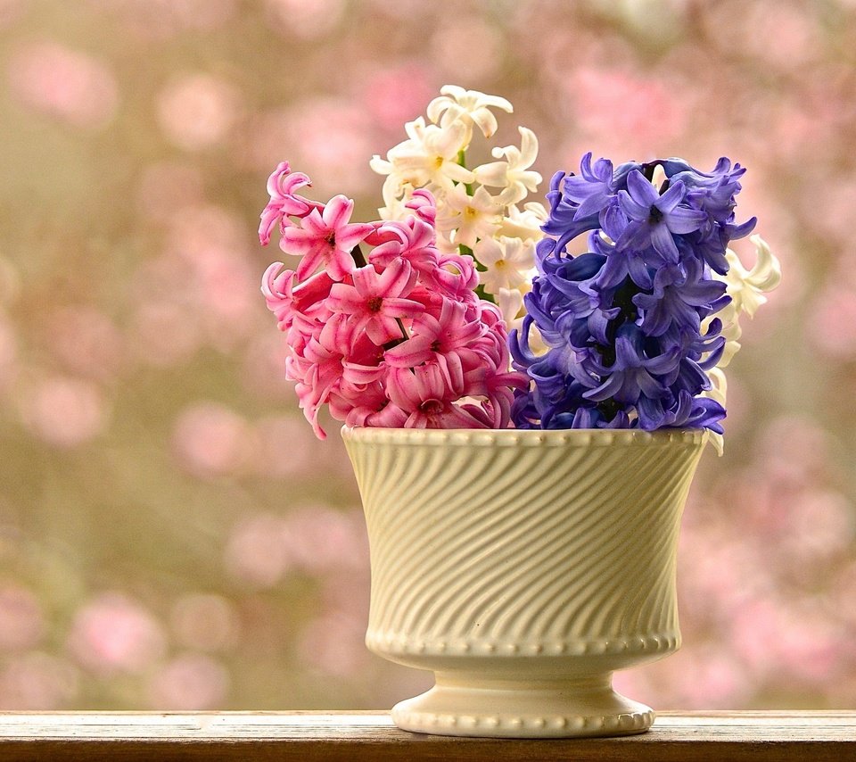 Обои цветы, ваза, боке, гиацинты, flowers, vase, bokeh, hyacinths разрешение 3000x1999 Загрузить