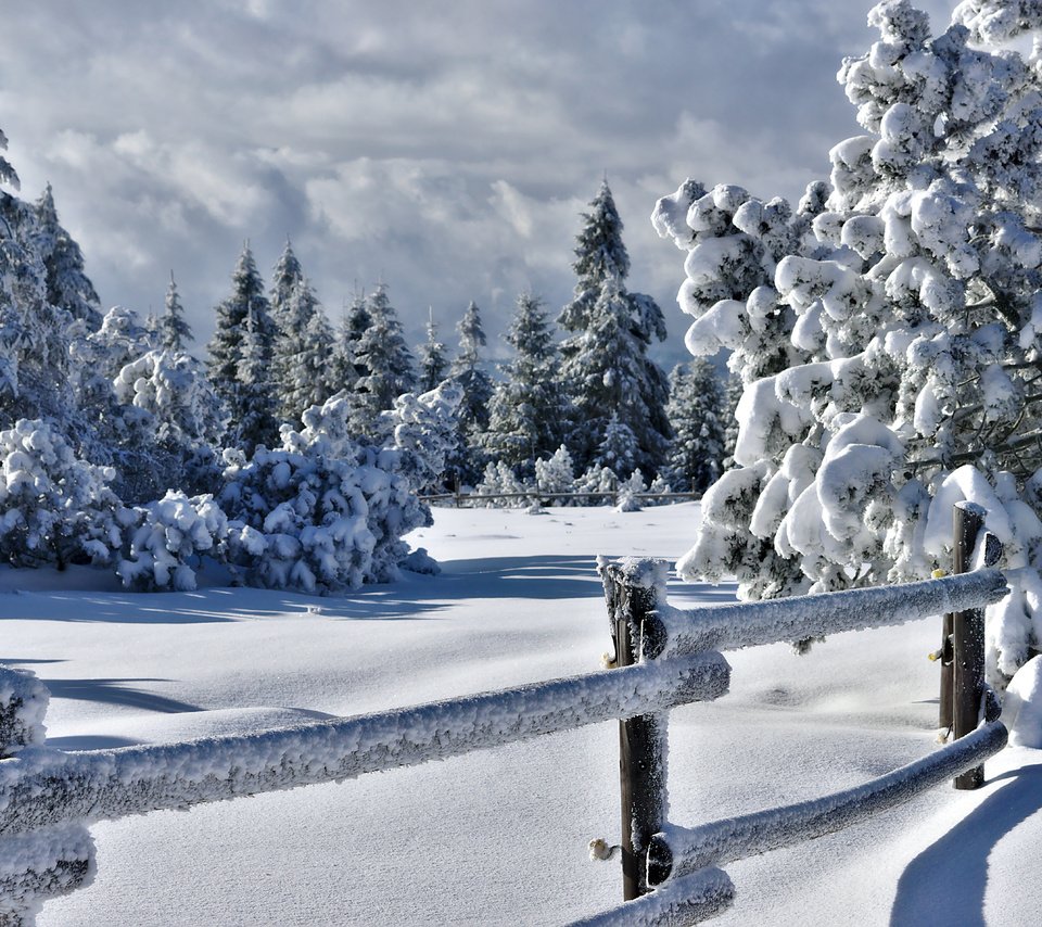 Обои деревья, снег, природа, зима, забор, изгородь, trees, snow, nature, winter, the fence, fence разрешение 5721x3825 Загрузить