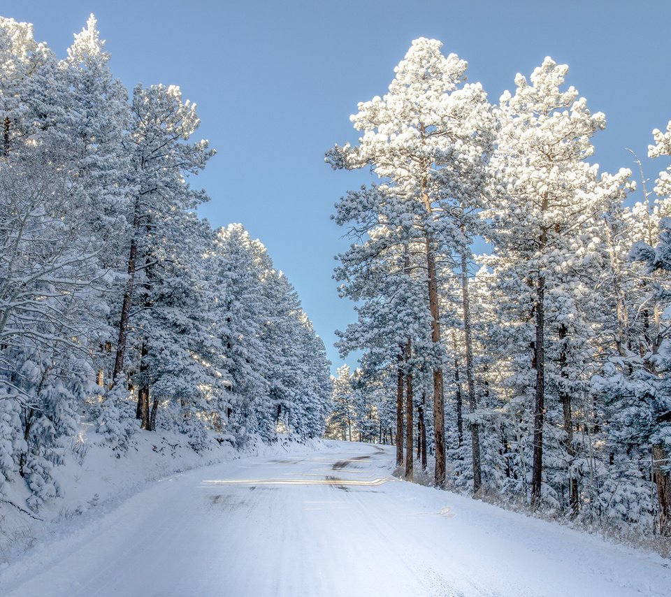 Обои небо, дорога, снег, природа, зима, сша, колорадо,     деревья, the sky, road, snow, nature, winter, usa, colorado, trees разрешение 2000x1379 Загрузить