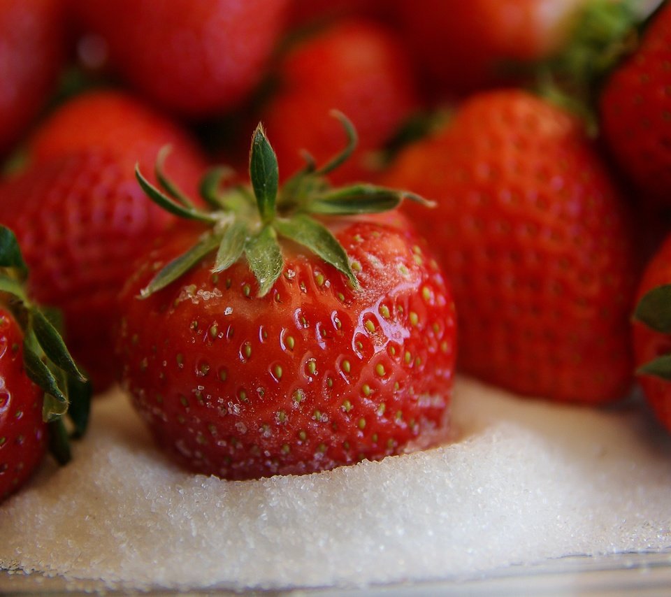 Обои клубника, ягоды, сахар, strawberry, berries, sugar разрешение 3690x2592 Загрузить