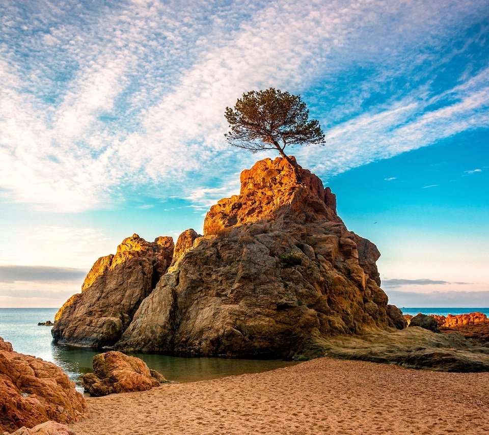 Обои вода, дерево, лучи, море, скала, рассвет, water, tree, rays, sea, rock, dawn разрешение 1920x1200 Загрузить