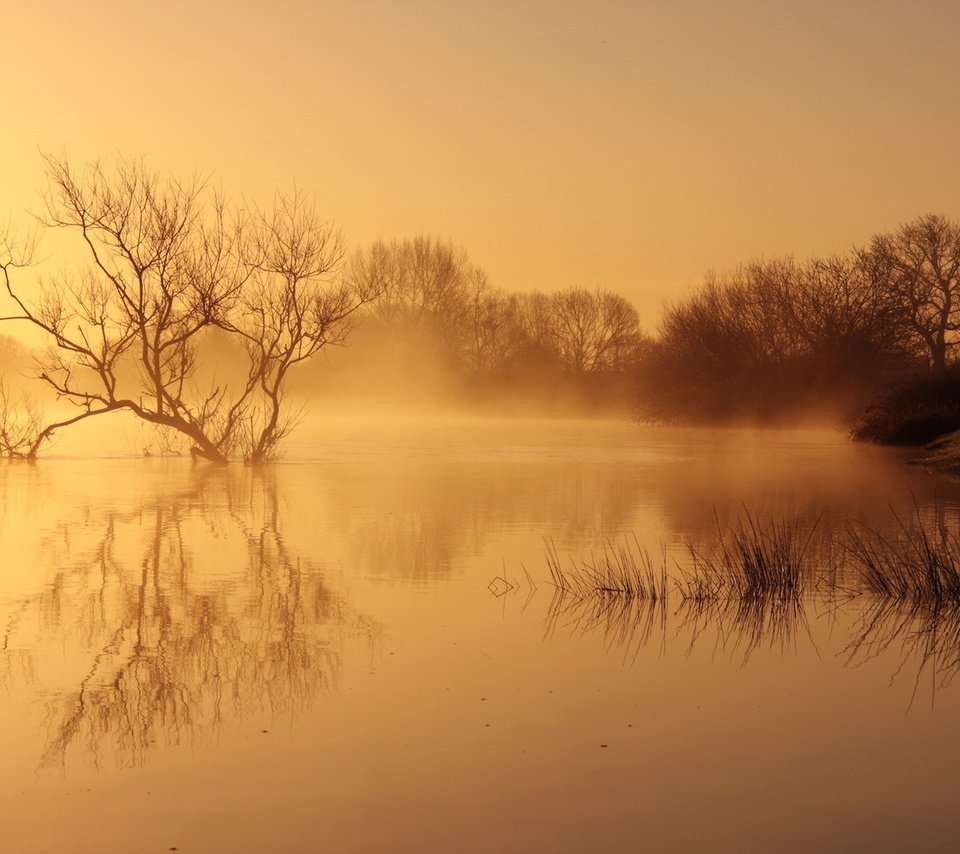 Обои река, природа, пейзаж, утро, туман, рассвет, river, nature, landscape, morning, fog, dawn разрешение 1920x1200 Загрузить