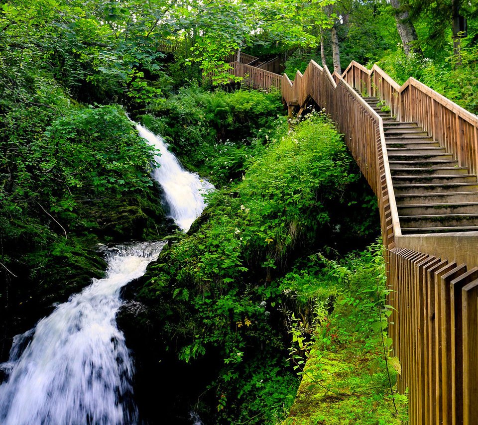 Обои лестница, водопад, поток, ущелье, норвегия, тронхейм, edoardo trabace, hiking in bymarka, ladder, waterfall, stream, gorge, norway, trondheim разрешение 1920x1200 Загрузить