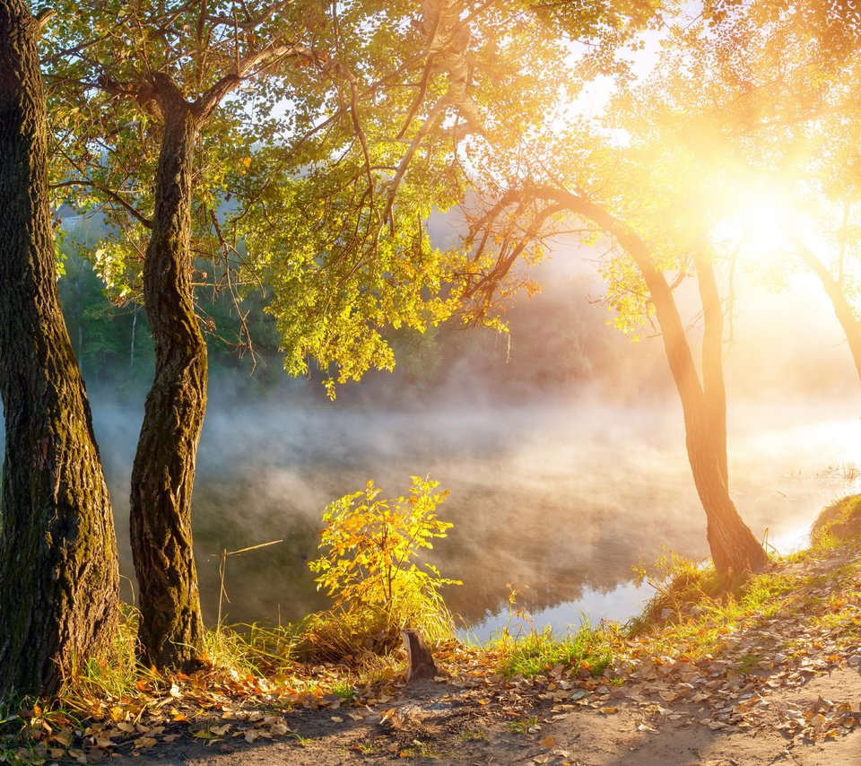 Обои деревья, озеро, солнце, туман, рассвет, осень, олнце, trees, lake, the sun, fog, dawn, autumn разрешение 5000x2960 Загрузить