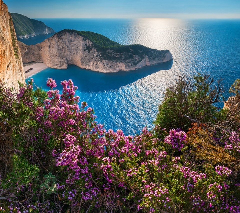 Обои цветы, скалы, море, побережье, греция, бухта навайо, navagio beach, остров закинф, навайо, shipwreck, flowers, rocks, sea, coast, greece, bay of navagio, island of zakynthos разрешение 1920x1089 Загрузить