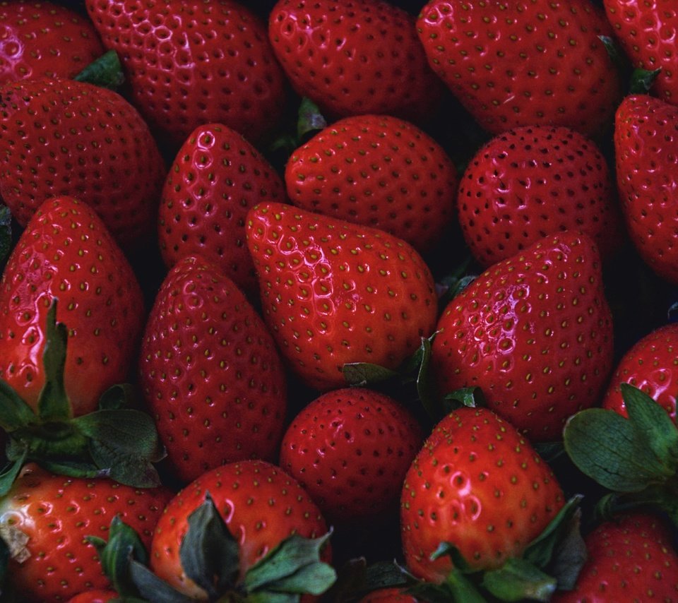 Обои клубника, спелая, ягоды, strawberry, ripe, berries разрешение 6000x4000 Загрузить