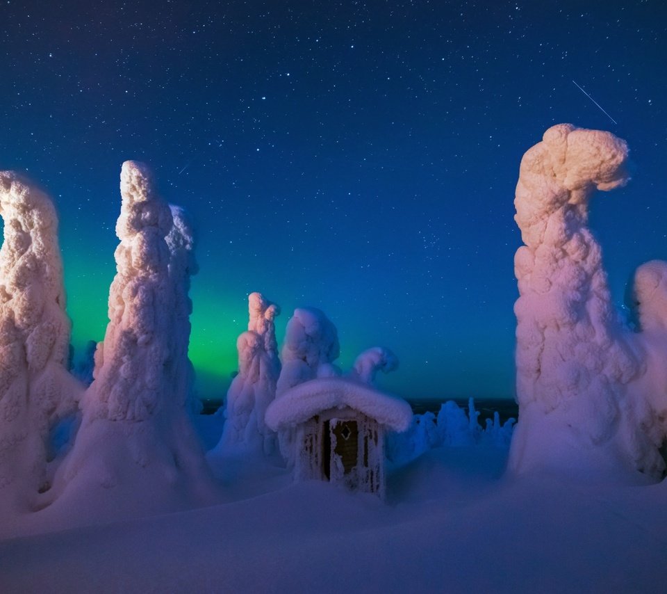 Обои ночь, деревья, снег, природа, лес, зима, домик, night, trees, snow, nature, forest, winter, house разрешение 1920x1200 Загрузить