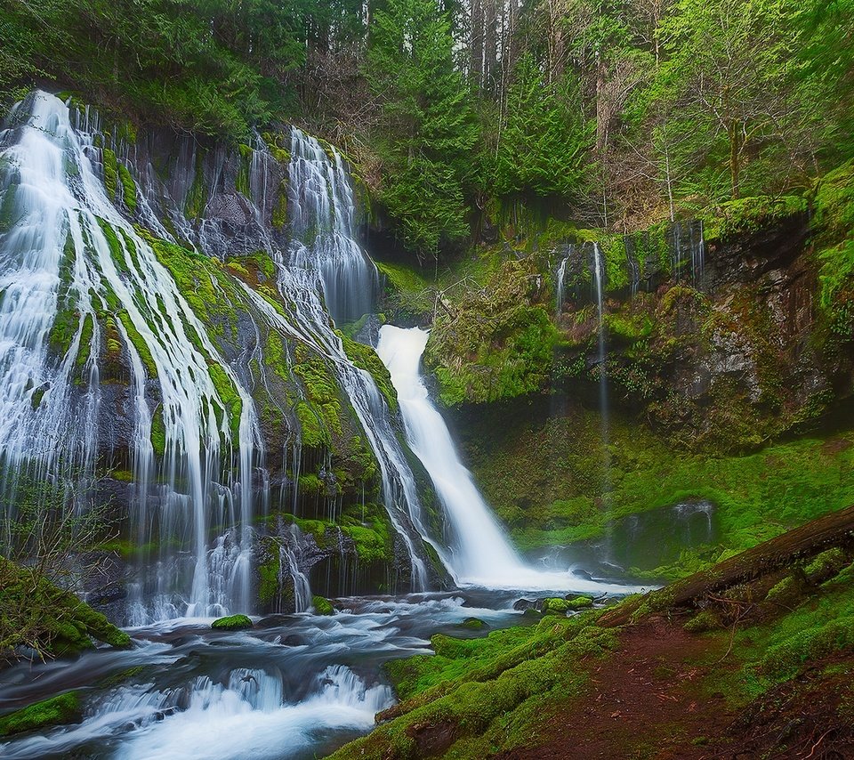 Обои деревья, природа, лес, водопад, panther creek falls, gifford pinchot национальный лес, trees, nature, forest, waterfall, gifford pinchot national forest разрешение 2048x1128 Загрузить