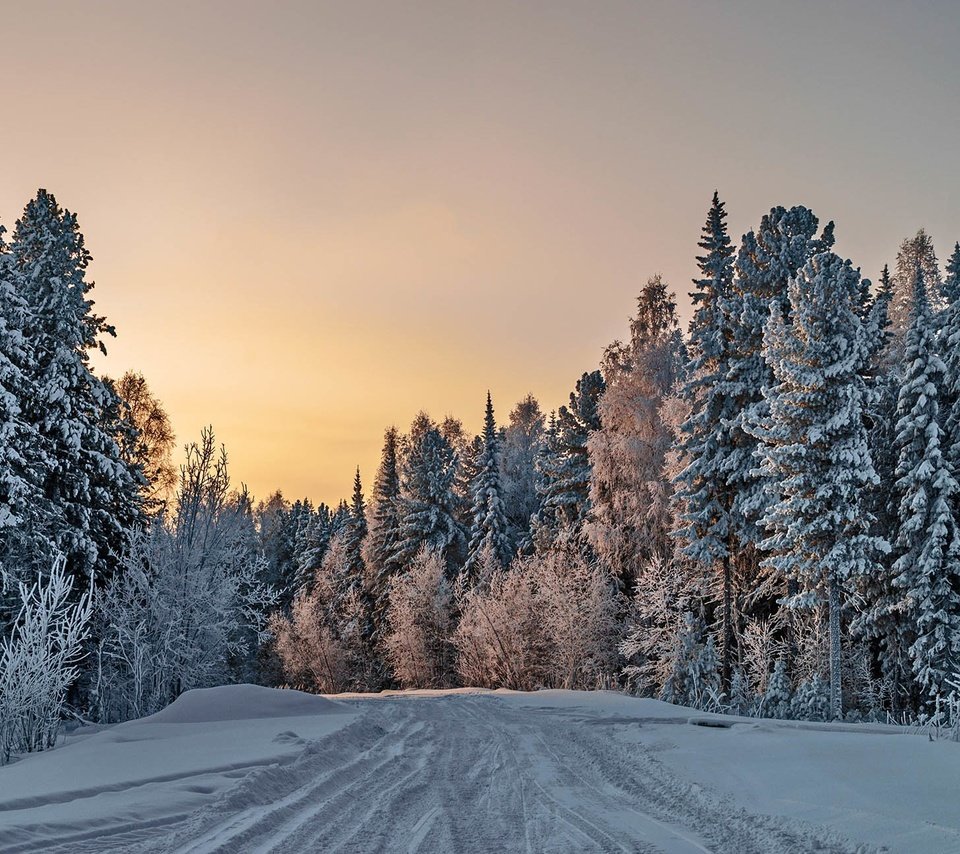 Обои дорога, деревья, снег, природа, лес, зима, road, trees, snow, nature, forest, winter разрешение 1936x1296 Загрузить