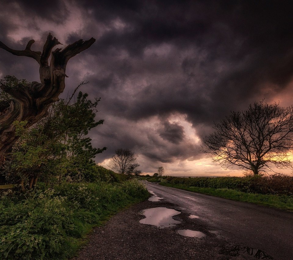 Обои дорога, облака, дерево, тучи, пейзаж, лужа, road, clouds, tree, landscape, puddle разрешение 2048x1267 Загрузить