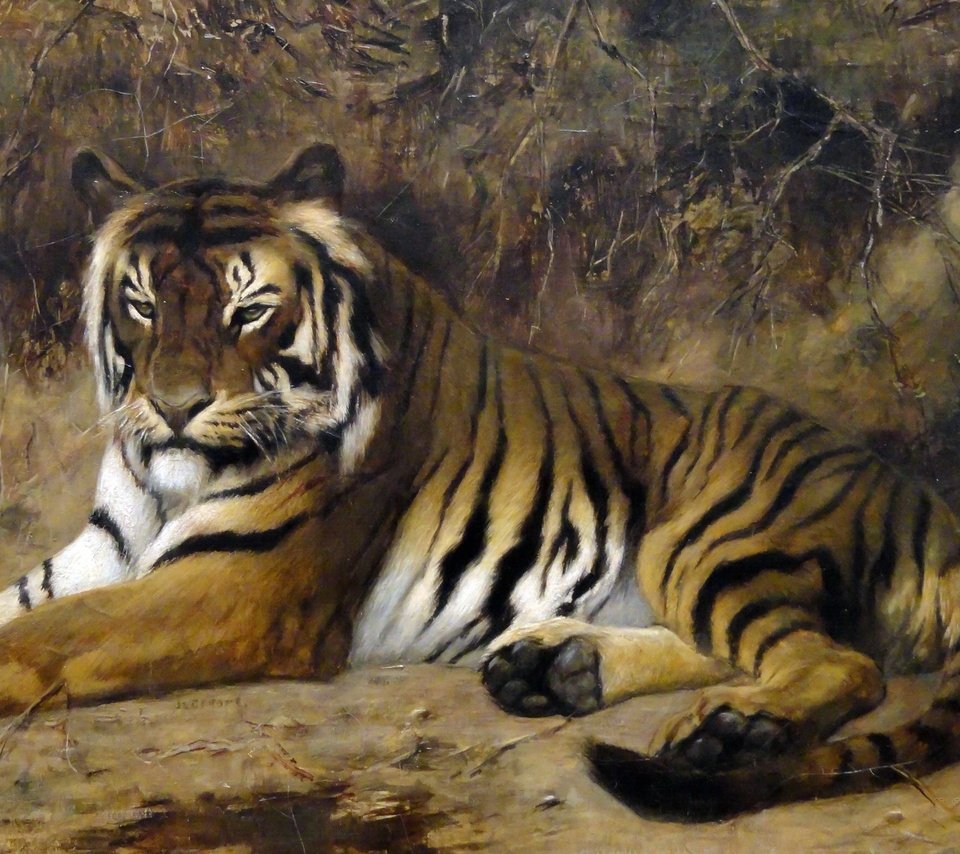 Обои тигр, картина, кошка, животное, жан-леон жером, tiger, picture, cat, animal, jean-leon gerome разрешение 2350x1533 Загрузить