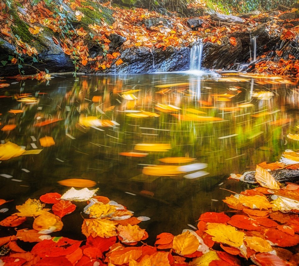 Обои вода, листья, водопад, осень, поток, water, leaves, waterfall, autumn, stream разрешение 2048x1198 Загрузить