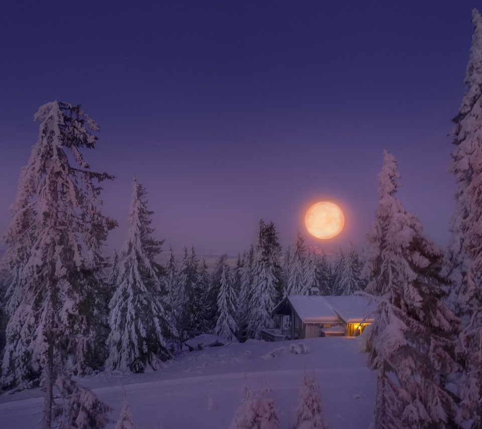 Обои небо, свет, деревья, снег, лес, зима, луна, дом, the sky, light, trees, snow, forest, winter, the moon, house разрешение 1920x1200 Загрузить