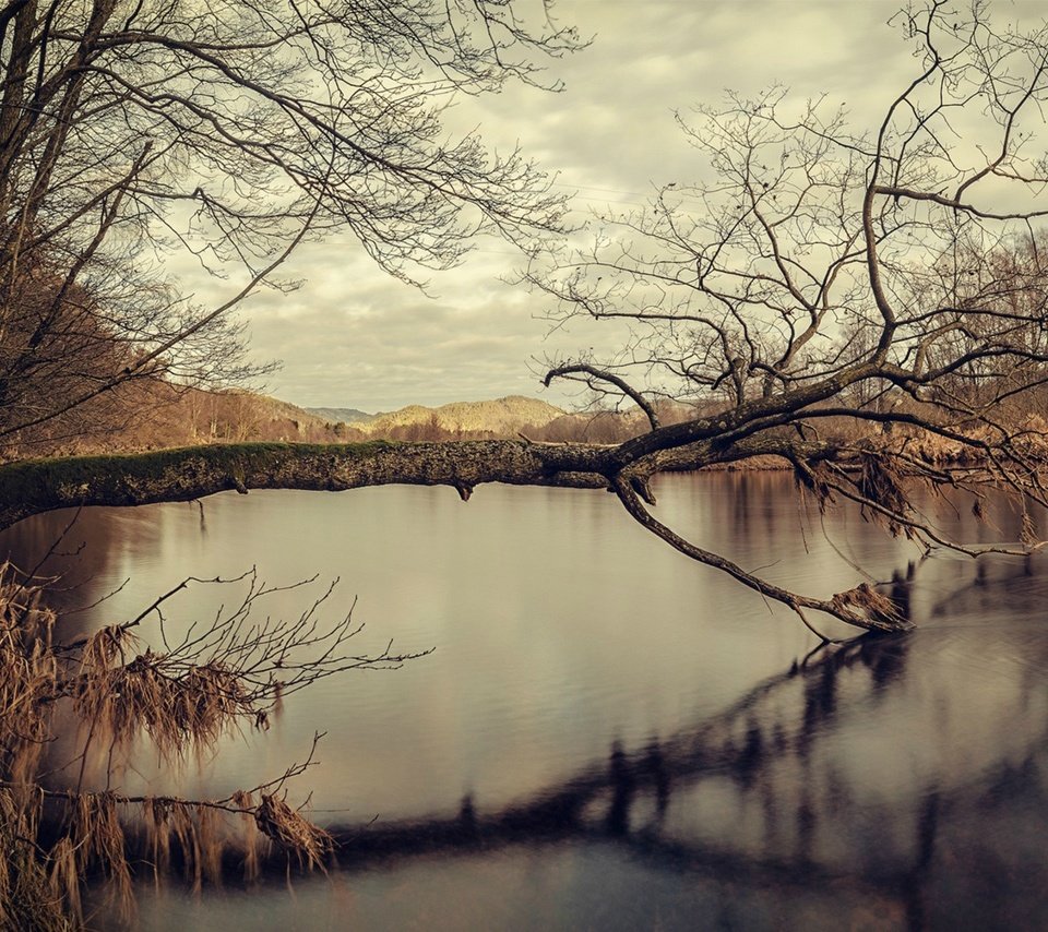 Обои озеро, дерево, отражение, осень, воде, lake, tree, reflection, autumn, water разрешение 1920x1200 Загрузить