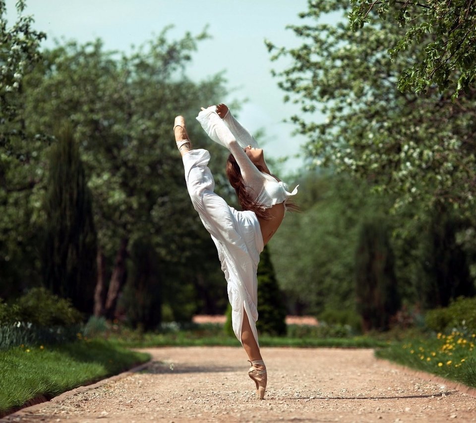 Обои деревья, девушка, парк, танец, балерина, trees, girl, park, dance, ballerina разрешение 1920x1302 Загрузить