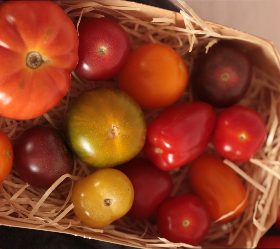 Обои овощи, корзинка, помидоры, vegetables, basket, tomatoes разрешение 4276x2854 Загрузить