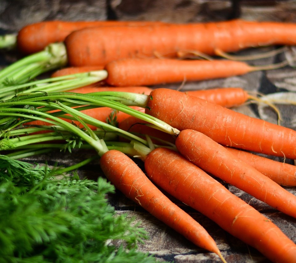 Обои урожай, овощи, морковь, harvest, vegetables, carrots разрешение 5561x2821 Загрузить