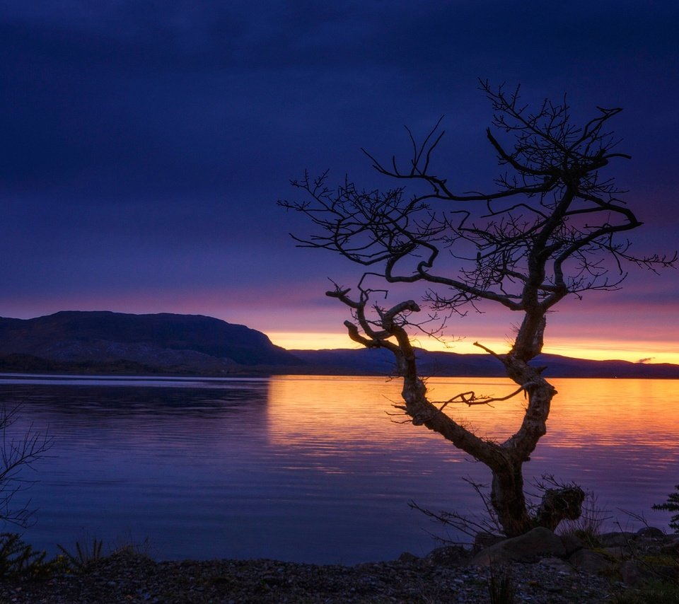 Обои озеро, горы, дерево, шотландия, lake, mountains, tree, scotland разрешение 2048x1340 Загрузить