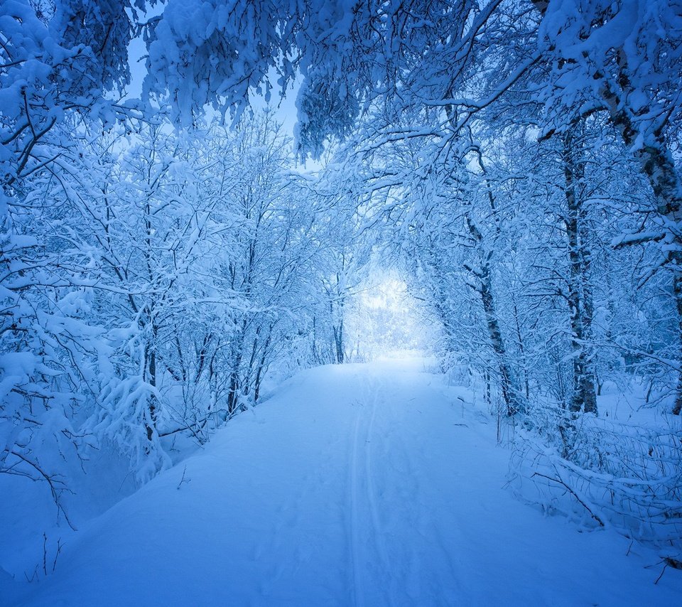 Обои дорога, деревья, снег, лес, зима, пейзаж, следы, сугробы, road, trees, snow, forest, winter, landscape, traces, the snow разрешение 1920x1200 Загрузить