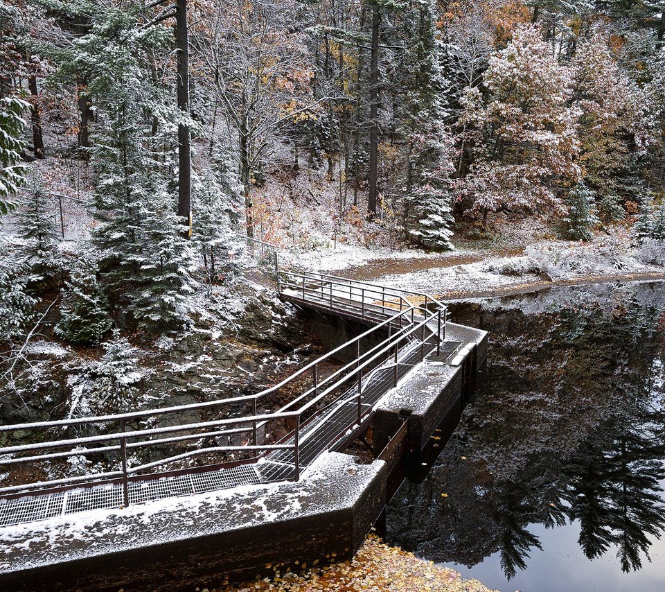 Обои деревья, озеро, природа, мостик, лес, зима, отражение, trees, lake, nature, the bridge, forest, winter, reflection разрешение 1920x1200 Загрузить