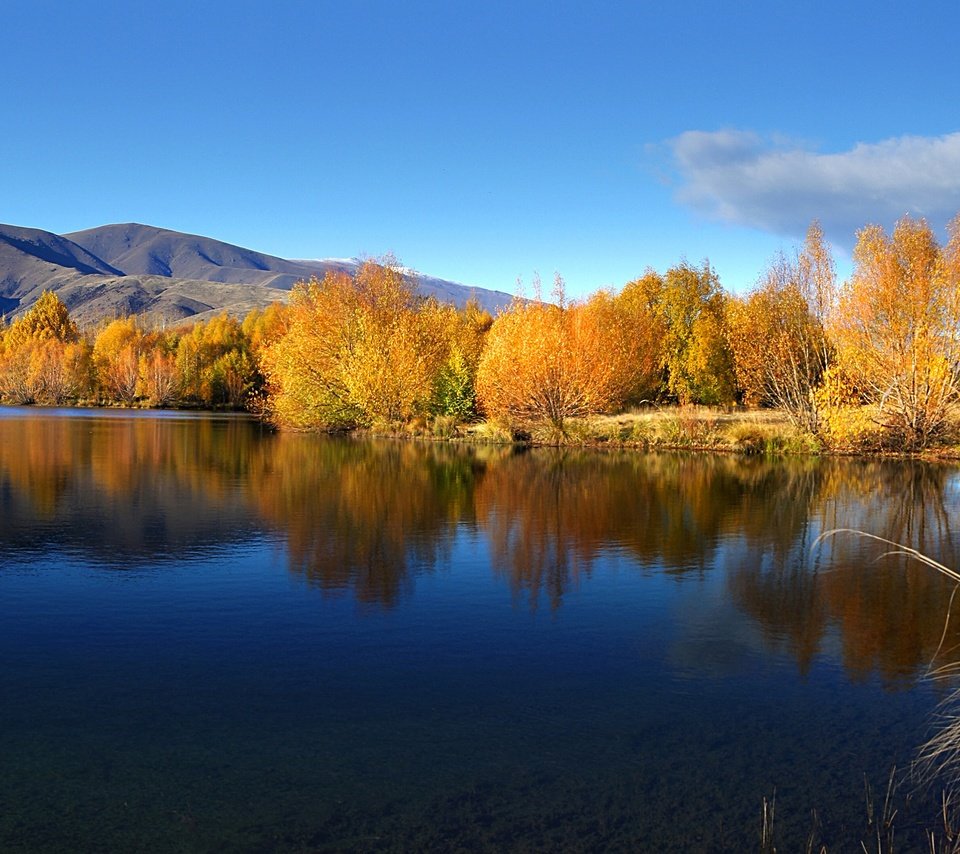 Обои небо, вода, озеро, осень, ивы, the sky, water, lake, autumn, willow разрешение 2400x1337 Загрузить