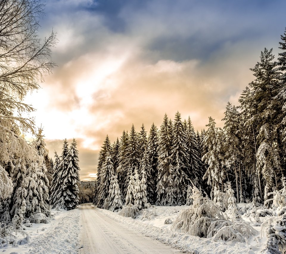 Обои облака, деревья, снег, лес, зима, clouds, trees, snow, forest, winter разрешение 3000x2250 Загрузить