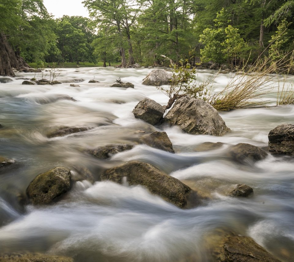 Обои деревья, вода, река, камни, поток, trees, water, river, stones, stream разрешение 7752x5304 Загрузить