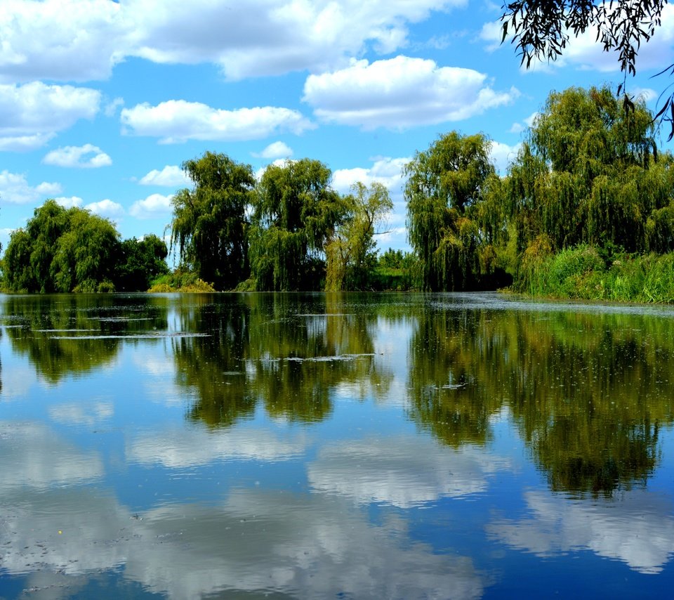 Обои небо, облака, деревья, озеро, отражение, пейзаж, лето, ивы, the sky, clouds, trees, lake, reflection, landscape, summer, willow разрешение 6000x4000 Загрузить