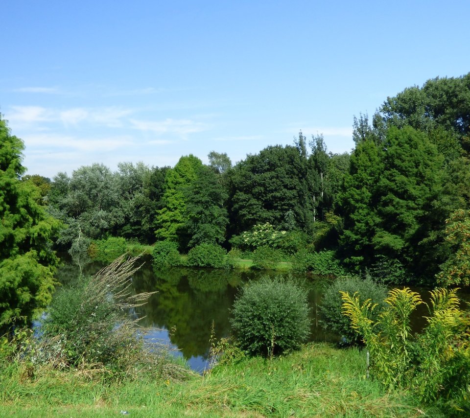 Обои озеро, лес, lake, forest разрешение 4608x2879 Загрузить