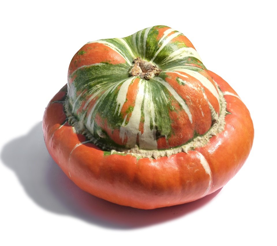 Обои тыква, pumpkin разрешение 4608x3456 Загрузить