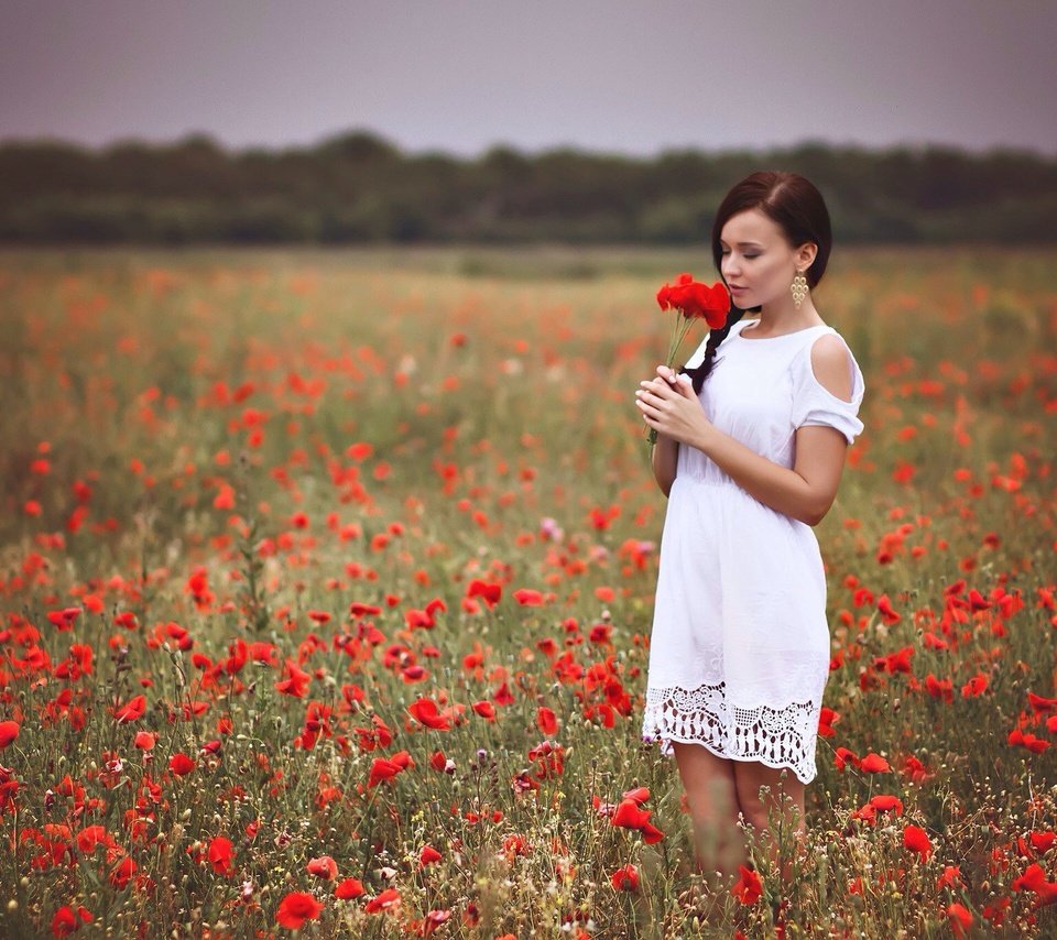 Обои девушка, платье, поле, красные, маки, руки, белое платье, girl, dress, field, red, maki, hands, white dress разрешение 2048x1364 Загрузить