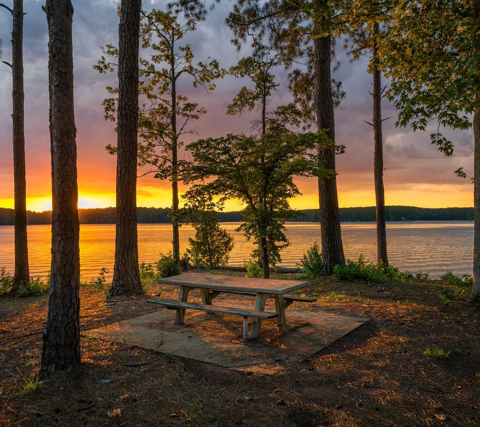 Обои деревья, озеро, берег, лес, закат, стволы, скамейка, trees, lake, shore, forest, sunset, trunks, bench разрешение 2048x1366 Загрузить