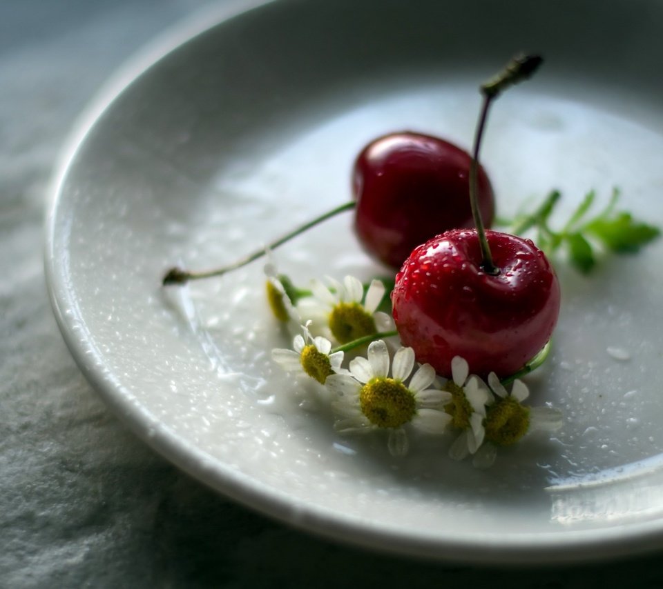 Обои цветы, ромашка, черешня, блюдце, ягоды, вишня, julie jablonski, flowers, daisy, cherry, saucer, berries разрешение 2560x1663 Загрузить