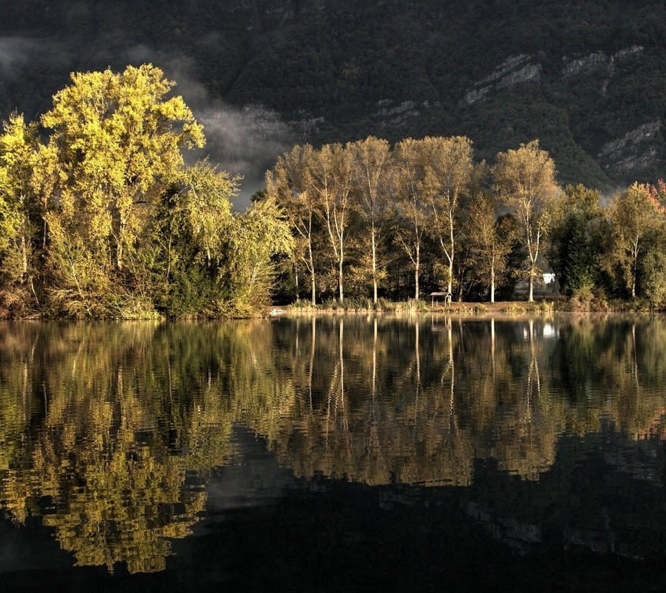 Обои деревья, озеро, природа, лес, отражение, пейзаж, осень, trees, lake, nature, forest, reflection, landscape, autumn разрешение 1920x1280 Загрузить