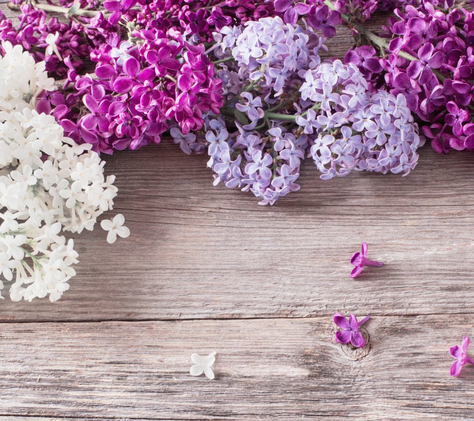 Обои цветы, весна, сирень, деревянная поверхность, flowers, spring, lilac, wooden surface разрешение 1920x1200 Загрузить