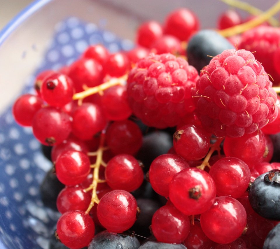 Обои малина, ягоды, черника, красная смородина, смородина, raspberry, berries, blueberries, red currant, currants разрешение 4272x2848 Загрузить