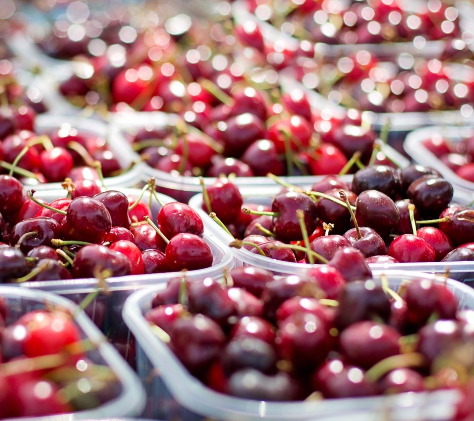 Обои черешня, ягоды, вишня, контейнеры, cherry, berries, containers разрешение 4273x2404 Загрузить
