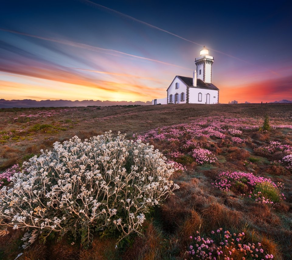 Обои небо, свет, цветы, закат, маяк, побережье, o.d photographies, the sky, light, flowers, sunset, lighthouse, coast разрешение 6016x4016 Загрузить