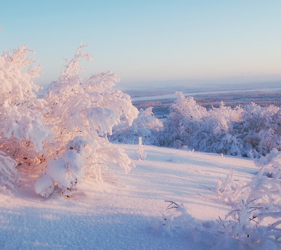 Обои небо, свет, деревья, снег, зима, горизонт, иней, the sky, light, trees, snow, winter, horizon, frost разрешение 1920x1080 Загрузить