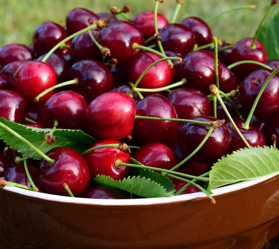 Обои листья, черешня, ягоды, вишня, чашка, миска, leaves, cherry, berries, cup, bowl разрешение 5184x2916 Загрузить