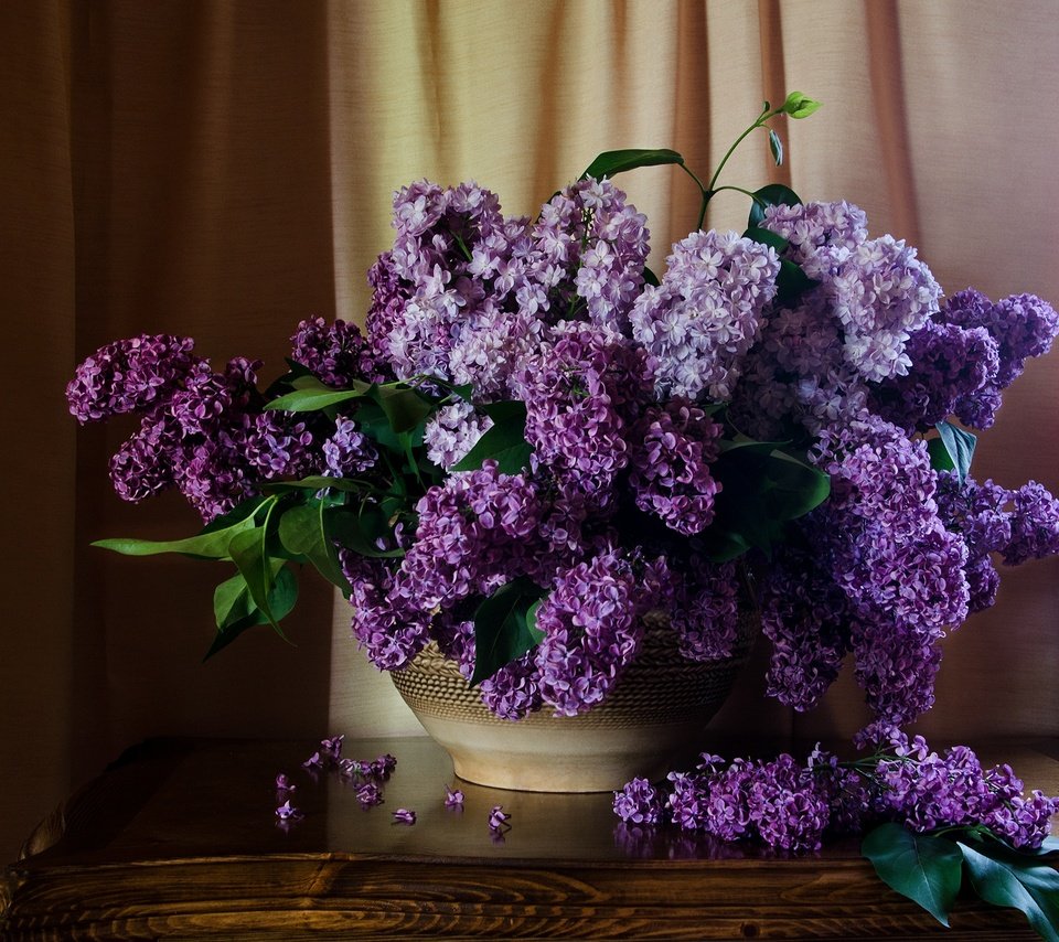 Обои цветы, шторы, стол, букет, сирень, натюрморт, flowers, curtains, table, bouquet, lilac, still life разрешение 2000x1620 Загрузить