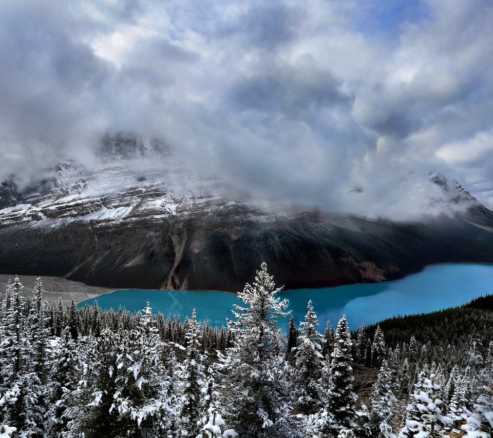 Обои небо, peyto lake, облака, озеро, горы, природа, лес, канада, национальный парк банф, the sky, clouds, lake, mountains, nature, forest, canada, banff national park разрешение 2048x1165 Загрузить