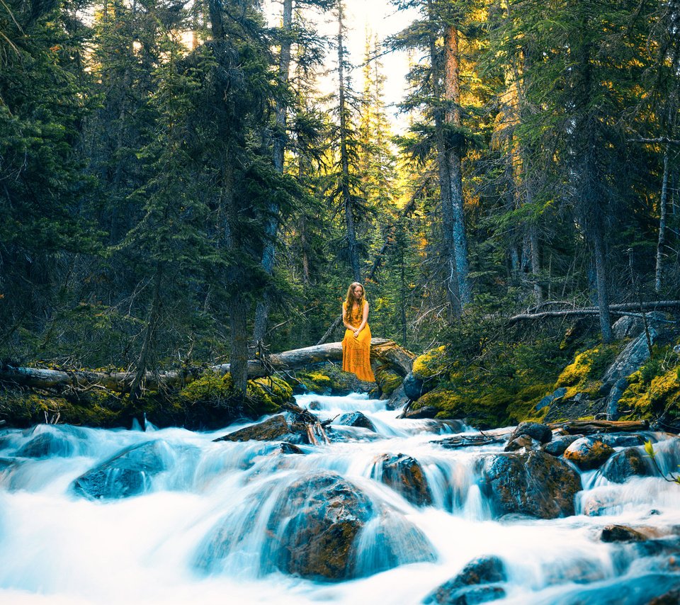 Обои деревья, река, камни, лес, девушка, платье, поток, lizzy gadd, trees, river, stones, forest, girl, dress, stream разрешение 2000x1396 Загрузить