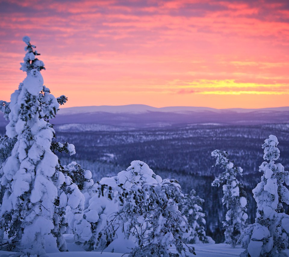 Обои небо, деревья, снег, лес, закат, зима, финляндия, лапландия, the sky, trees, snow, forest, sunset, winter, finland, lapland разрешение 2800x1867 Загрузить