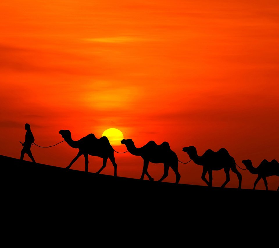 Обои солнце, закат, пустыня, человек, караван, верблюды, the sun, sunset, desert, people, caravan, camels разрешение 2160x1622 Загрузить