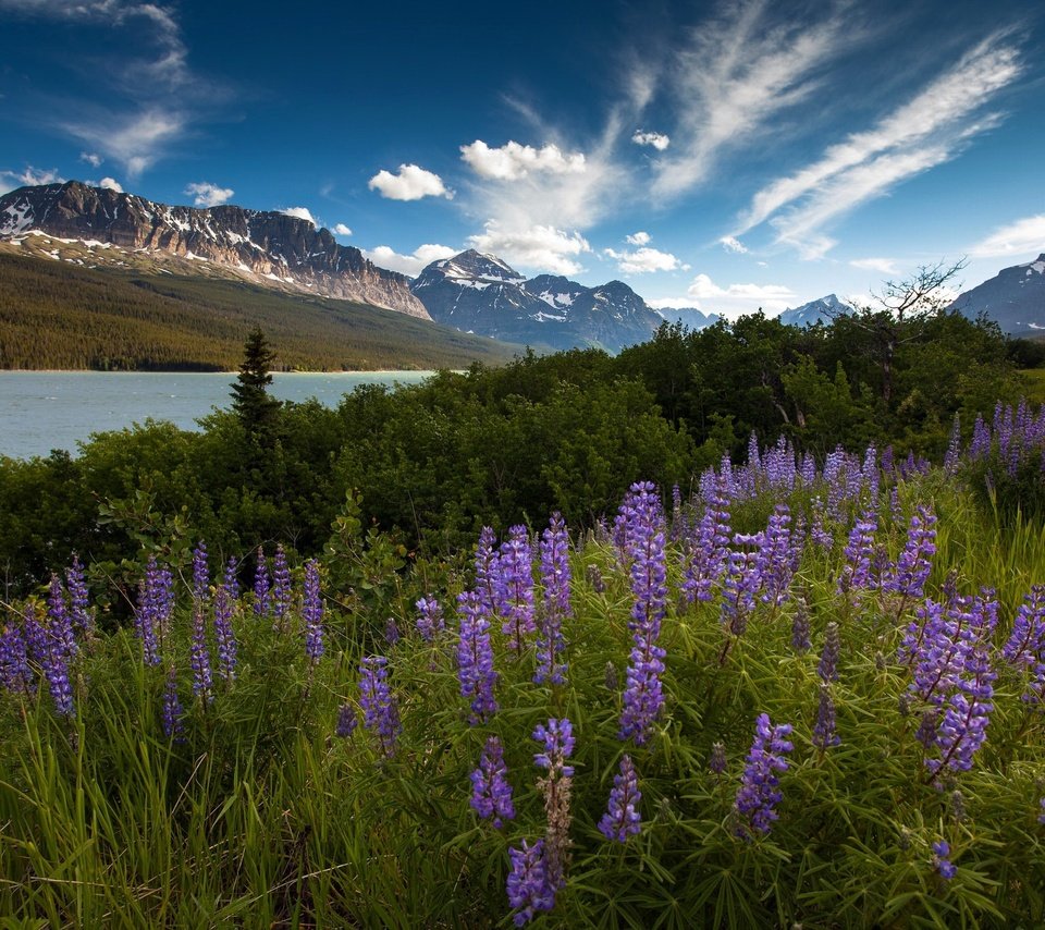 Обои небо, цветы, облака, река, горы, утро, лето, the sky, flowers, clouds, river, mountains, morning, summer разрешение 2048x1365 Загрузить