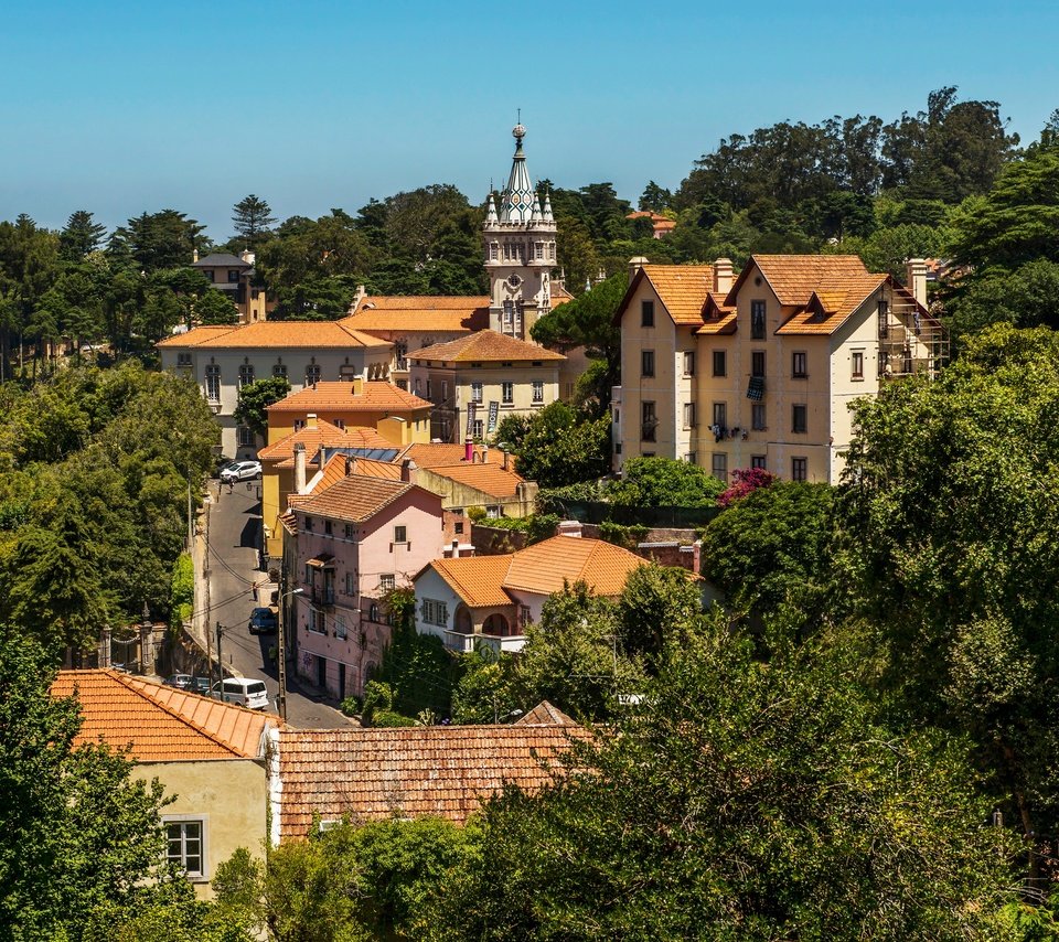 Обои деревья, солнце, зелень, дома, португалия, лиссабон, sintra, trees, the sun, greens, home, portugal, lisbon разрешение 4000x2546 Загрузить