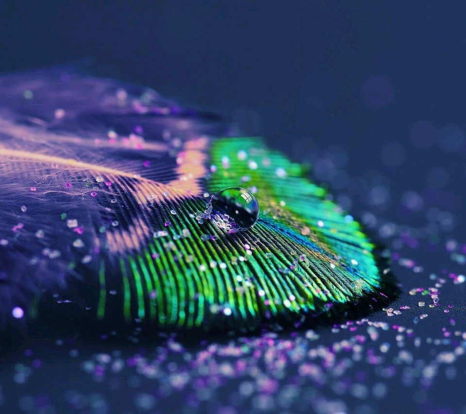 Обои фон, капля, перо, перышко, перо павлина, background, drop, pen, a feather, peacock feather разрешение 1920x1080 Загрузить